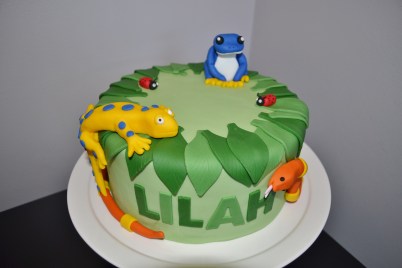 rainforest cake